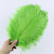 (Apple green, 25-30cm) 10PcsLot 15-20cm White Ostrich Feathers Colorful Plumes Holiday Carnival Handicraft