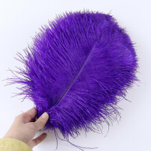 (Deep Purple, 20-25cm) 10 st./lott 15-20 cm vita strutsfjädrar färgglada plymer högtid karneval hantverk