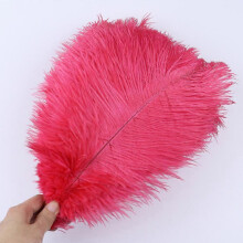 (Watermelon red, 25-30cm) 10PcsLot 15-20cm White Ostrich Feathers Colorful Plumes Holiday Carnival Handicraft