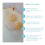 EllieFant Baby Bath Foam Support Mat  4 Pc Gift Set Includes Skid Proo 2