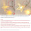 Mosquito Net Bed Canopy Bed Cover with 100 LED String Lights Oversized 4