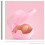 2St Compacte Pacifier Holder Opslag En 5