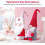 2 Pack Valentine Dwarf Plush Ornaments Valentine Gift Set 3
