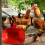 Automatic Chicken & Duck Drinking Cup Waterer Bowl Poultry Drinking Bowl Automatic Watering Feeder Drinking Bowl 3