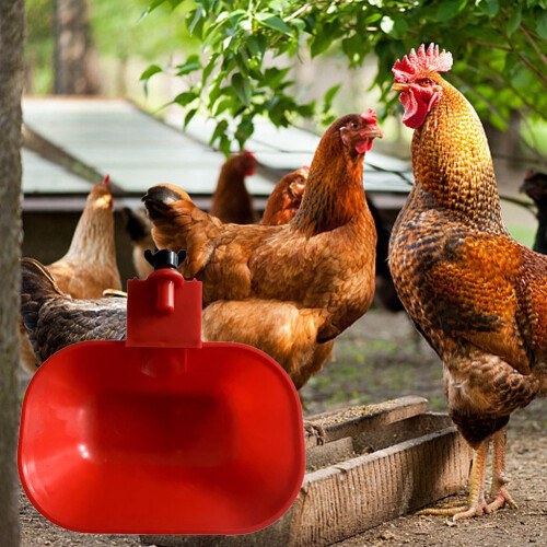 Automatic Chicken & Duck Drinking Cup Waterer Bowl Poultry Drinking Bowl Automatic Watering Feeder Drinking Bowl 2