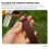 4St Camping Tent Spijkerhouder Leren Ketting 5