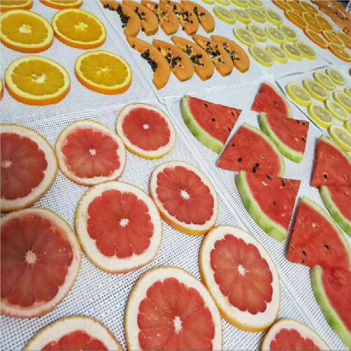 Dehydrator Sheet for Food Dehydrator,30 Pcs 29X37cm , Silicone Sheets, Fruit Dehydrator Mats, Silicone Dehydrator Sheets 2