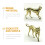 Kleine Messing Hond Ornament Tafelstuk 9