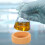 Duurzame Flask Basis Voor Flask 8