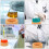 Duurzame Flask Basis Voor Flask 3