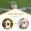 Natuurlijke Vogelhuis Met Ophangkoord 6