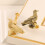 Retros Long Tail Pheasant Brasses Knob Creative-Primary Color 9