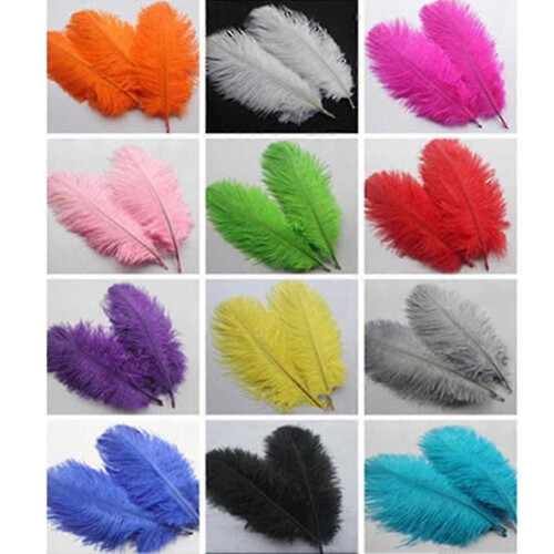 (Green) 15 Soft Colored Natural Ostrich Feathers for Wedding Clothes Decor 1