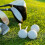 (Grass Green) Two-Layer Multi-Color Durable Lightweight Golf Ball Gift and Accessories 4