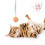4St Kitten Krabballen Met Zachte Wol Afwerking 7