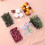 (E) DIY Everlasting Flowers Material Real Natural Dried Bulk Kit 4