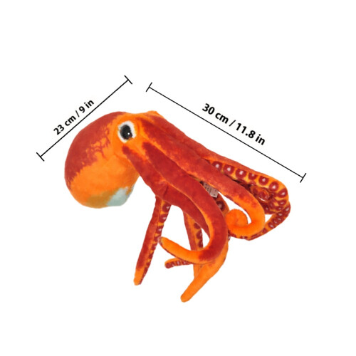 Cartoon Octopus 1