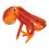 Cartoon Octopus 7