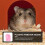 1X Multifunctioneel Hamsterverblijf Met Speelruimte 3