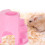 1X Multifunctioneel Hamsterverblijf Met Speelruimte 9
