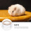 1 Transparante ABS Zandbad Hamster Met Afneembaar 6