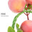 3St Decoratieve Perzikketting Voor Kind Speelgoed 5