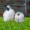 Chicken Nesting Box Pads for Laying Eggs with Vegetable Skewer String Feeder, Washable Nesting Pads for Chicken 6Pcs 1