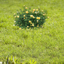 1Duurzaam Klimhulpstuk Voor Tuinplanten Ijzer
