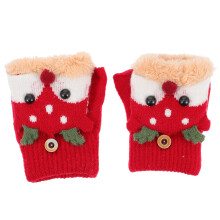 1Paar Handschoenen Winterdagen