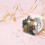 Transparent Clear Candy Boxes Small Goodie Boxes for Packaging Use 20Pcs 4
