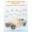 AD410OBD2Scanner til Check Engine-lampe, Sort/Gul 2