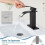Matte Black Bathroom Faucet Single Handle Deck Mount with 2