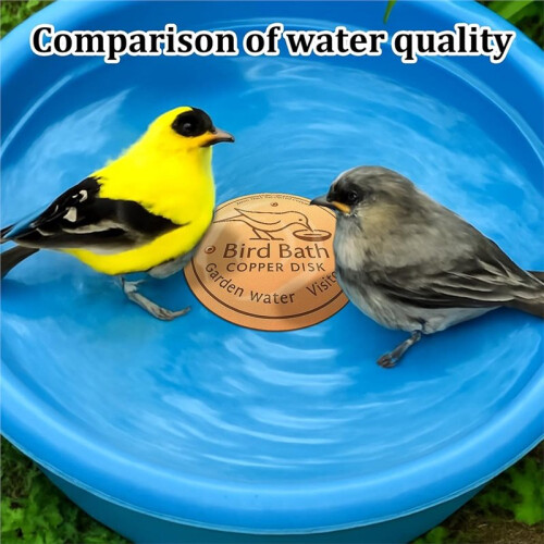 Bird Bath Copper Disk for Efficient Water Purification, Natural Algae Reduction and Easy Outdoor Bird Bath Maintenance 2