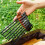 4St Camping Tent Spijkerhouder Leren Ketting 9