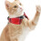 1Rode Kat Halsband Met Dagelijks Gebruik 9