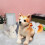 Peluche chiot avec ruban rouge 25 cm 4