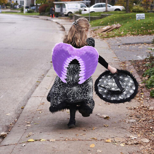 Exquise Paars Kinder Angel Wing Accessoire 2