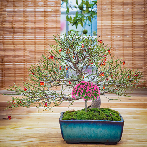 10St Decoratieve Mini Model Voor Micro Landschap 2