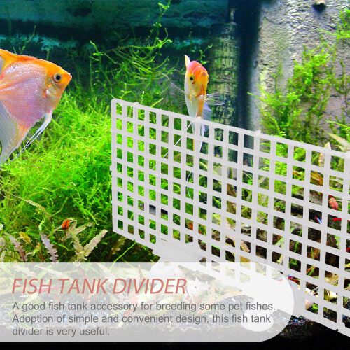 1Set Wit Aquarium Scheidingsbord Viskweek 2