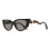 Roberto Cavalli Roberto Cavalli SRC128M 0743 Unisex New Sunglasses 3