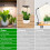 2X Full Spectrum LED Grow Lights for Plants with Adjustable Height, 3 Lighting Spectrum, Auto Timer 3/9/12H US Plug 7