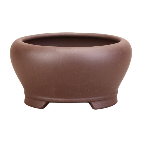 (A) Succulent Ceramic Pot - Home & Office Decor
