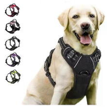 Dog Collar and Leash Set for Puppy and Small Dogs, Leather, Adjustable