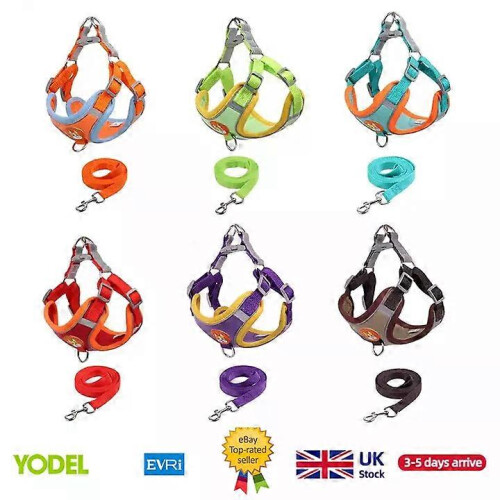 Dog Harness and Leash Set for Small Medium Dogs No Pull Soft Mesh Vest