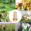Brass Sprayer Nozzle with Adjustable Tip High Performances 4