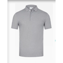 test_Men's Summer Polo Shirt