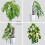 4 Pcs 17 Inch Plastic Moss Pole for Plants Monstera,Designed Specifically for Climbing Plants, Stackable Plant Support 3