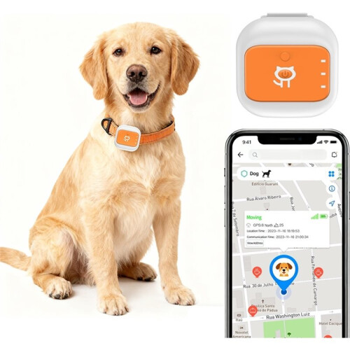 Pet GPS Tracker Global 4GLTE  Anti Lost Device  Real- Location Tracking SOS Alert for IOS Android 1