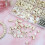Multicolor Real Shell Beads Earrings Necklaces Crafting 5