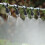 100Pcs(50 Pairs)Garden Irrigation Kit Adjustable Atomization Dripper Atomization Connection Tee Joint Water Irrigation Drip Irrigation Kit 9